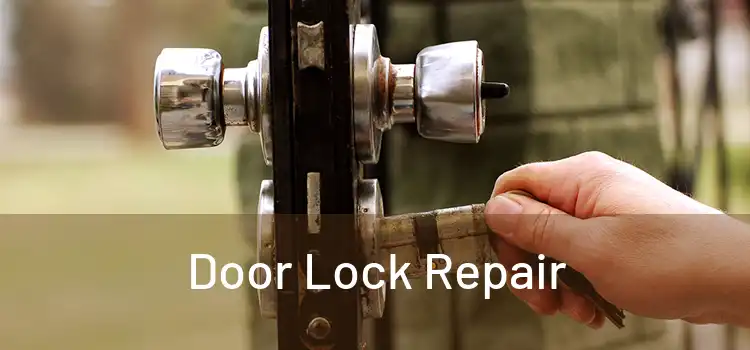 Door Lock Repair